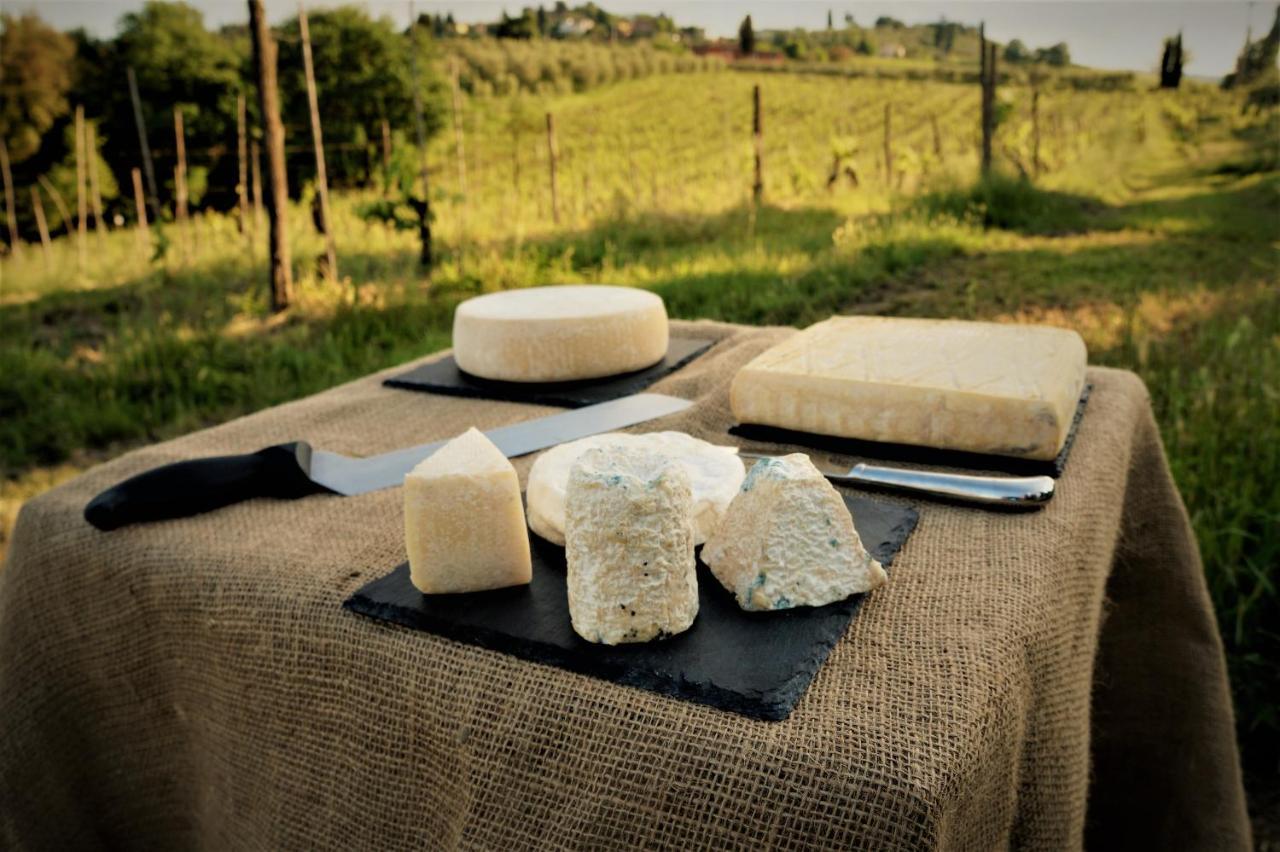 Agriturismo Fattoria Le Caprine Gambassi Terme Kültér fotó