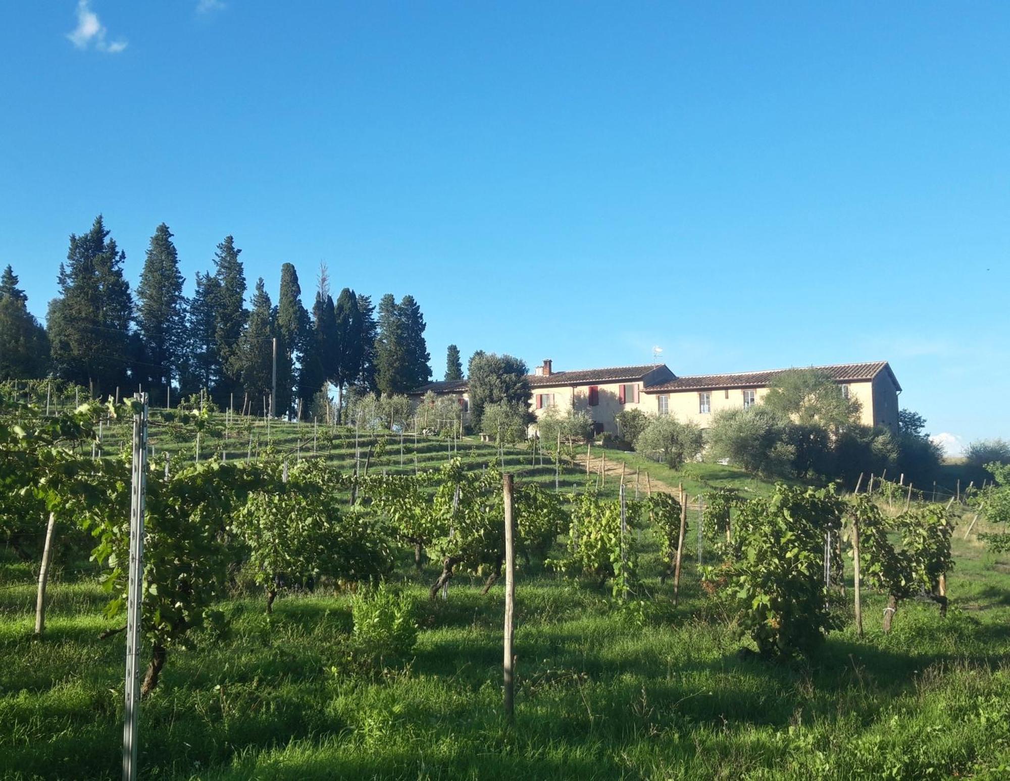 Agriturismo Fattoria Le Caprine Gambassi Terme Kültér fotó