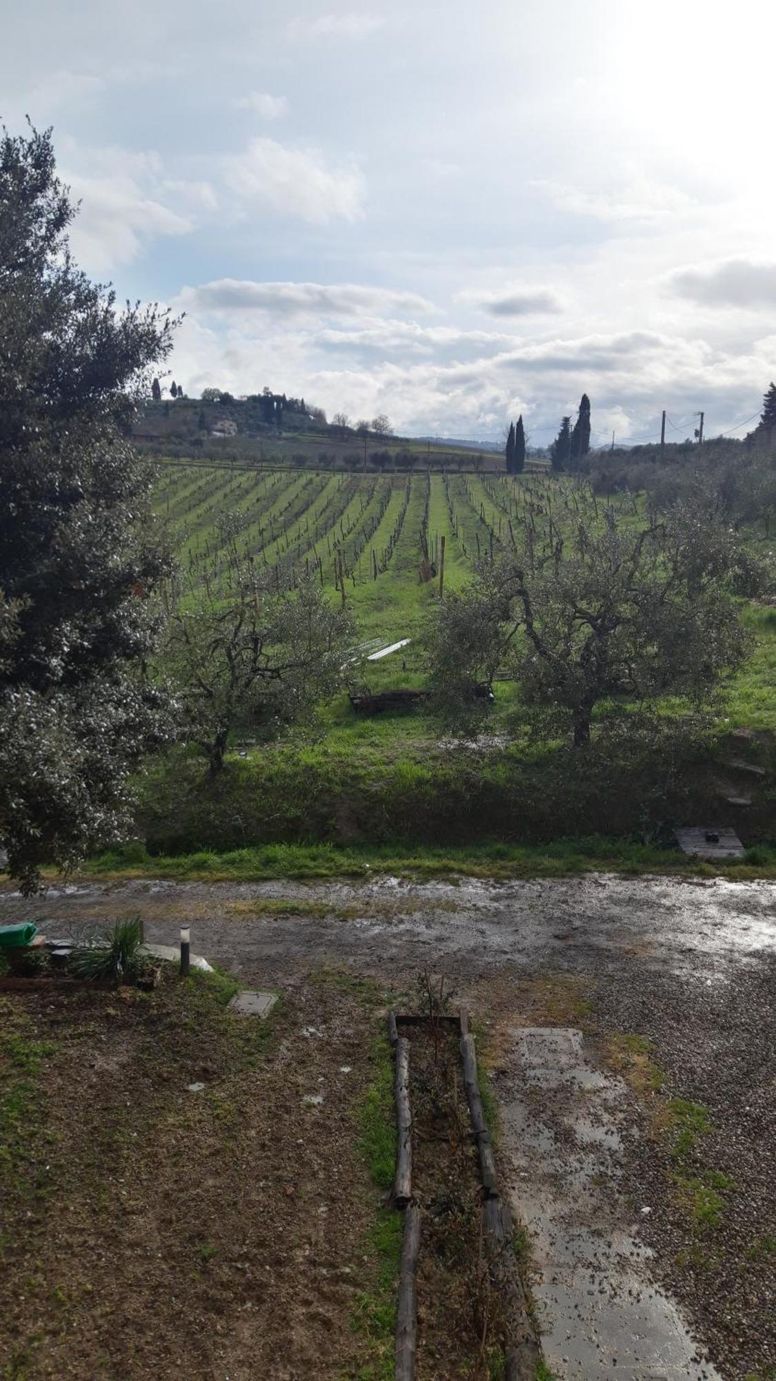 Agriturismo Fattoria Le Caprine Gambassi Terme Kültér fotó